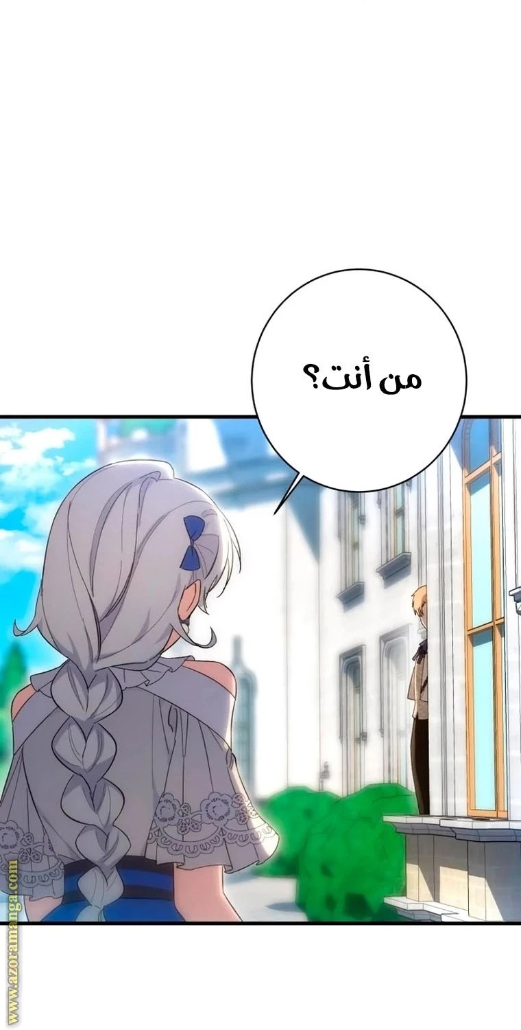 الصفحة 41