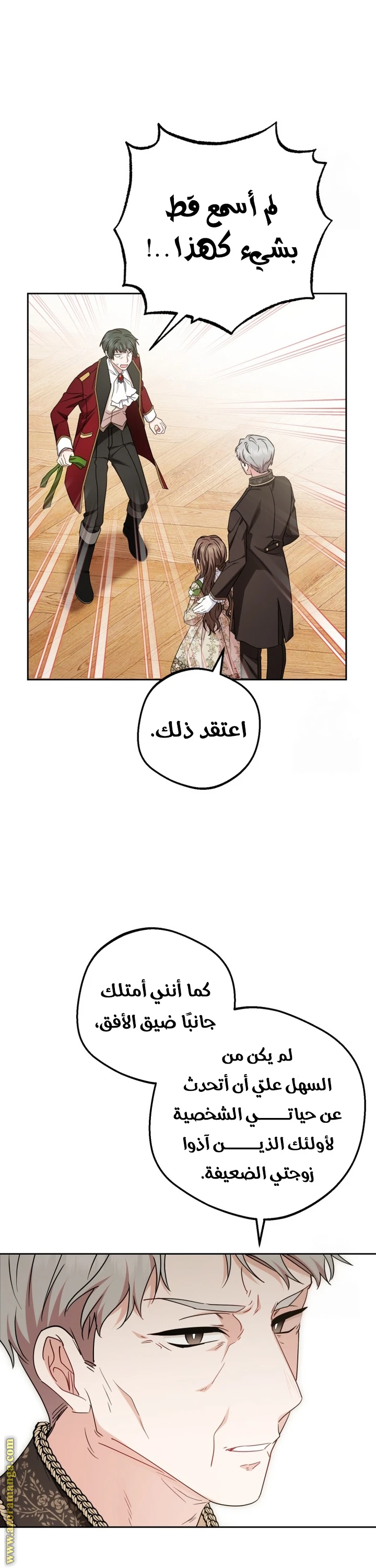 الصفحة 27