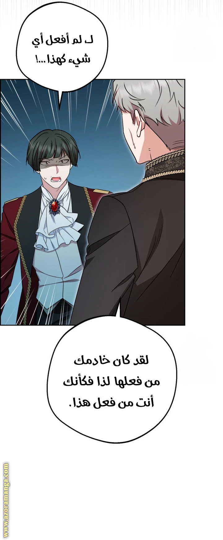 الصفحة 29