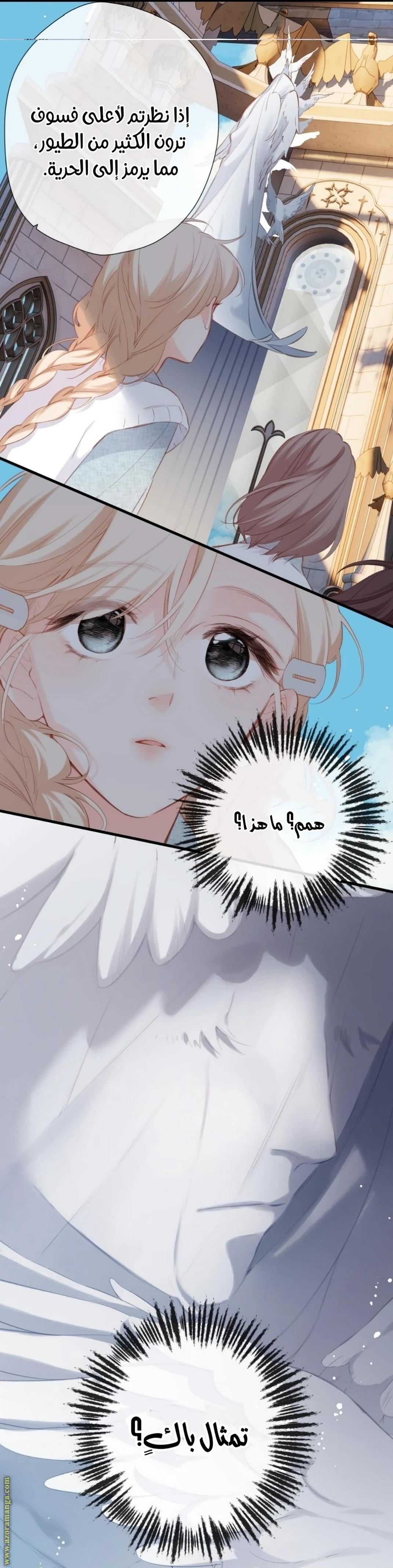 الصفحة 14