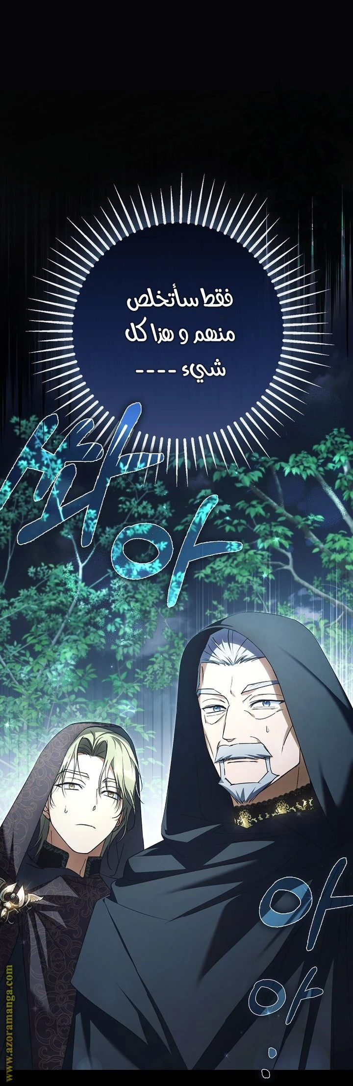 الصفحة 25