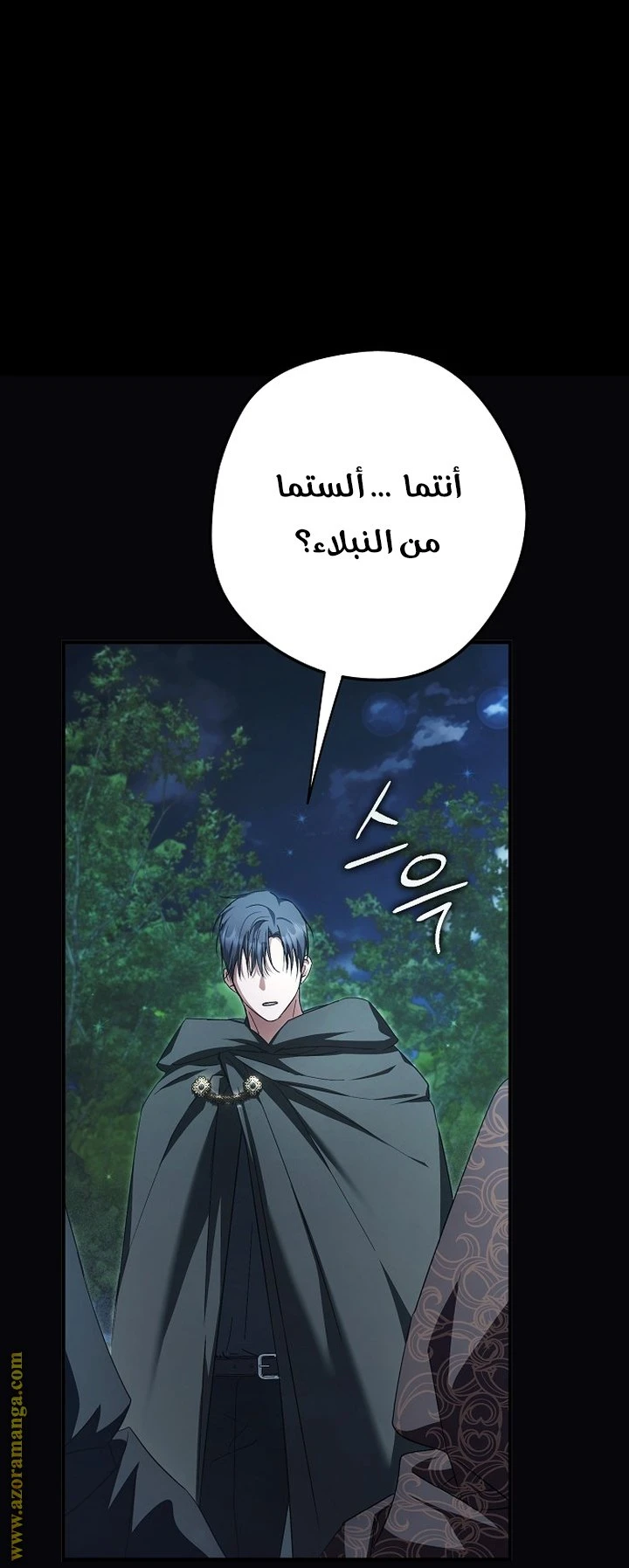 الصفحة 26