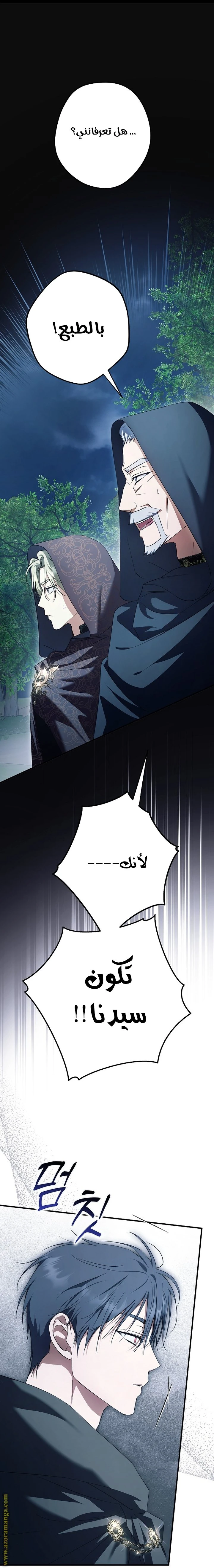 الصفحة 32