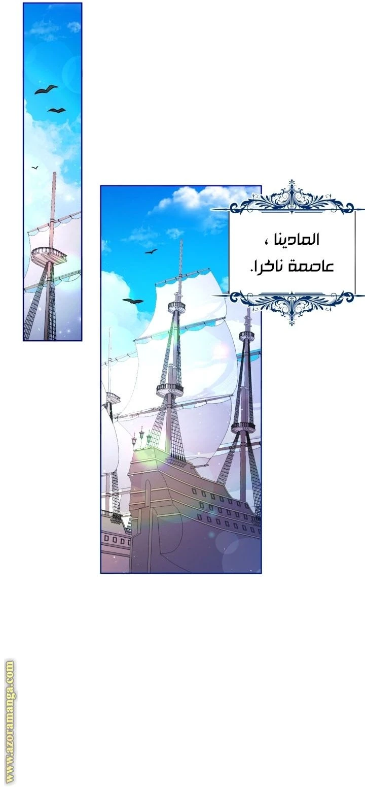 الصفحة 20
