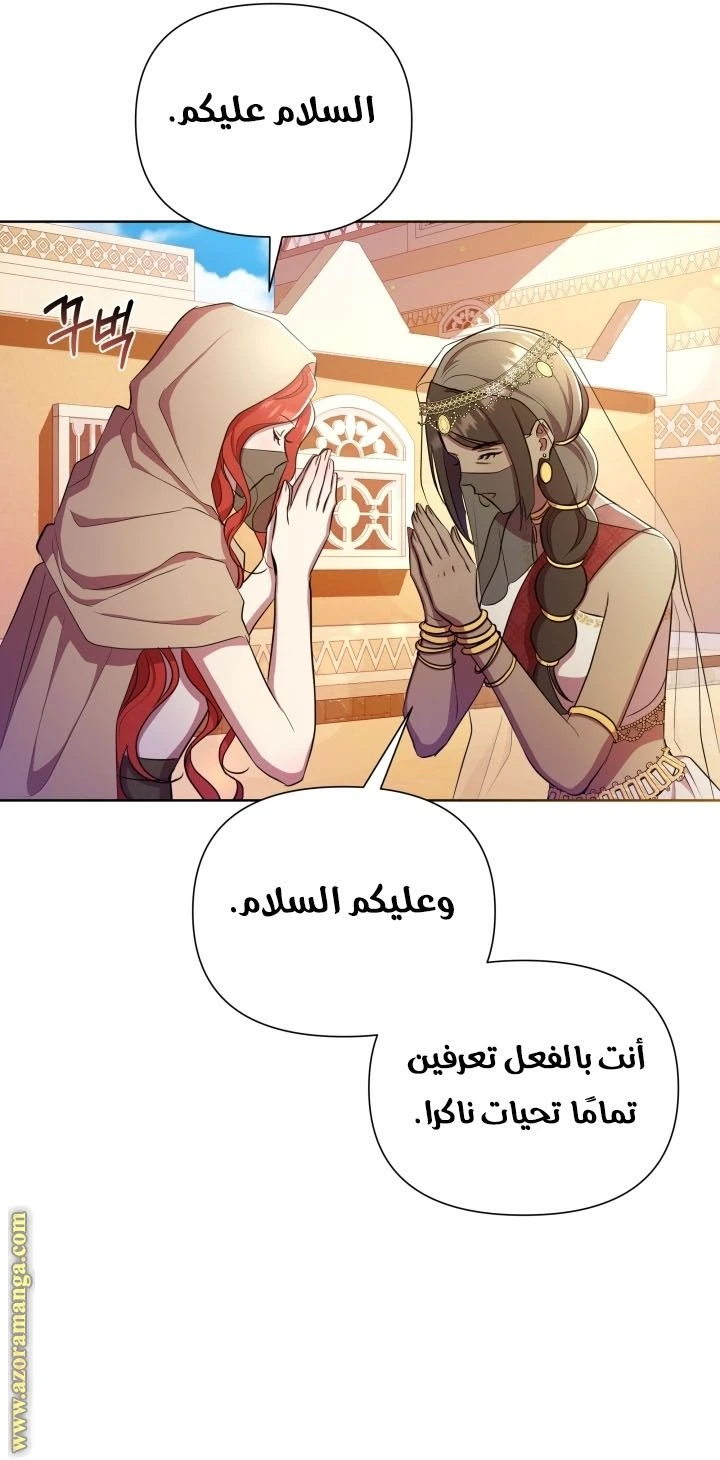 الصفحة 25