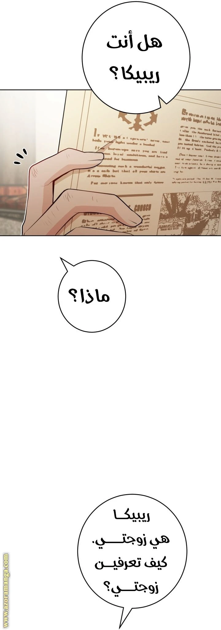 الصفحة 17