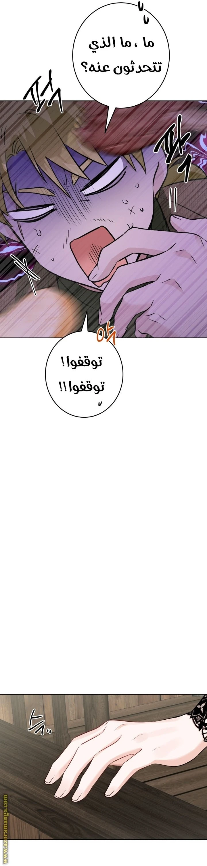 الصفحة 27