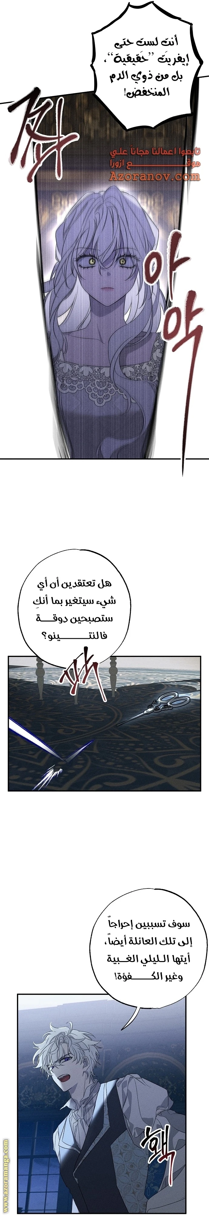 الصفحة 17