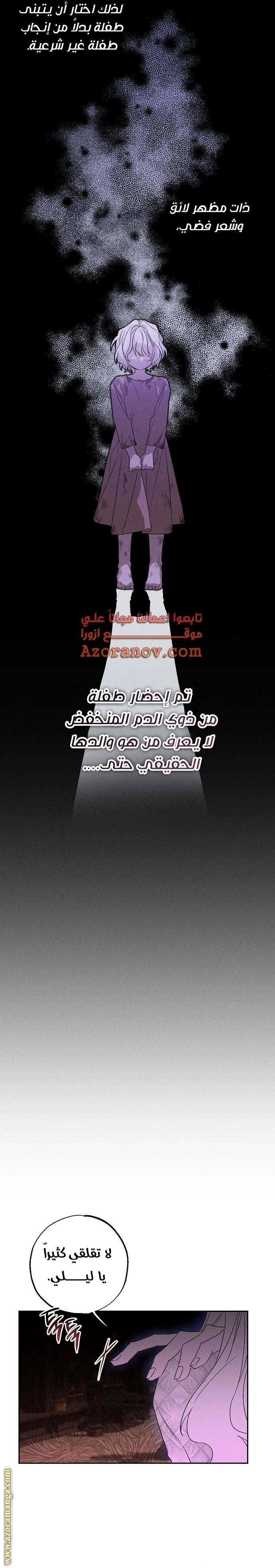 الصفحة 26