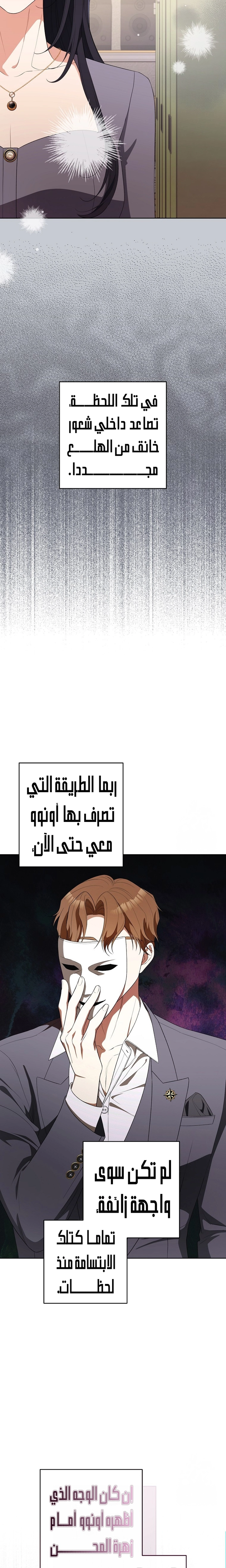الصفحة 17