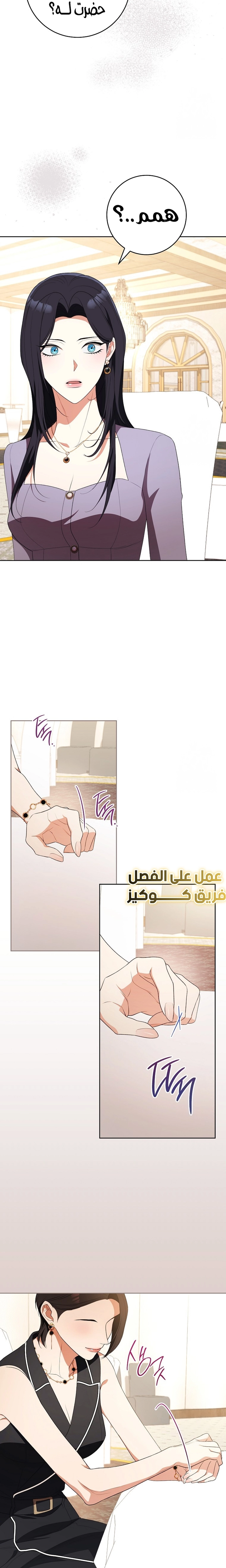الصفحة 26