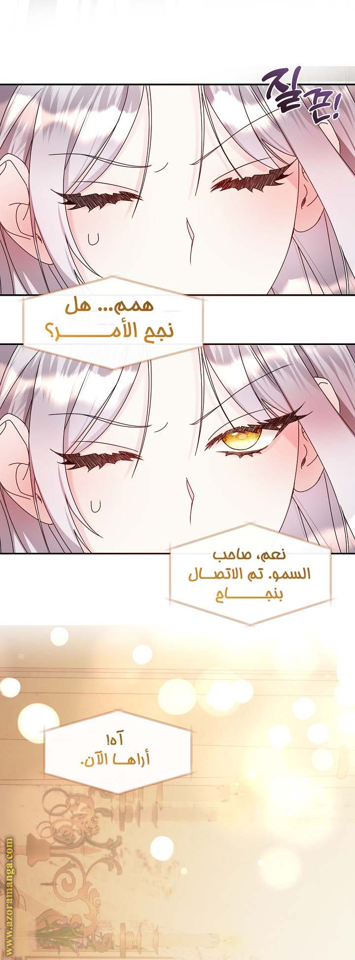 الصفحة 17