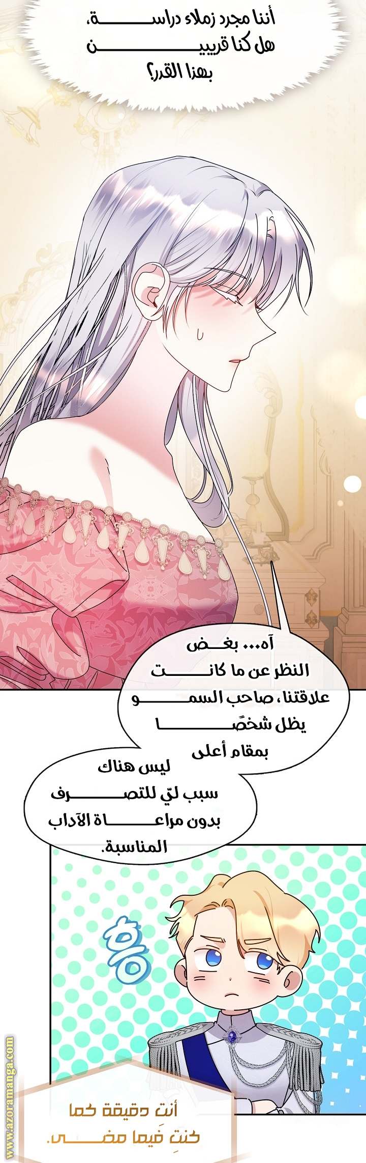 الصفحة 22