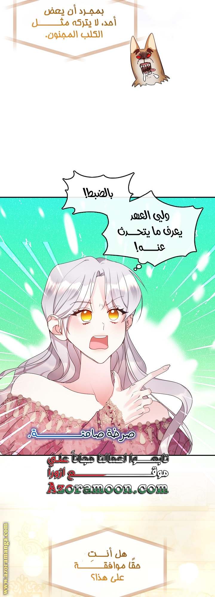 الصفحة 25