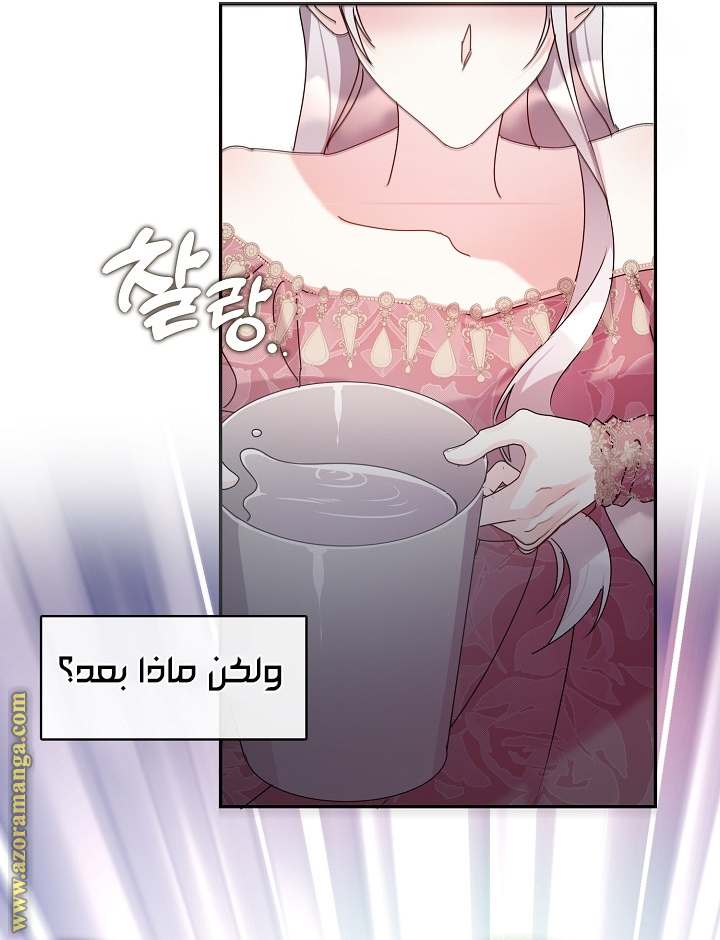 الصفحة 43