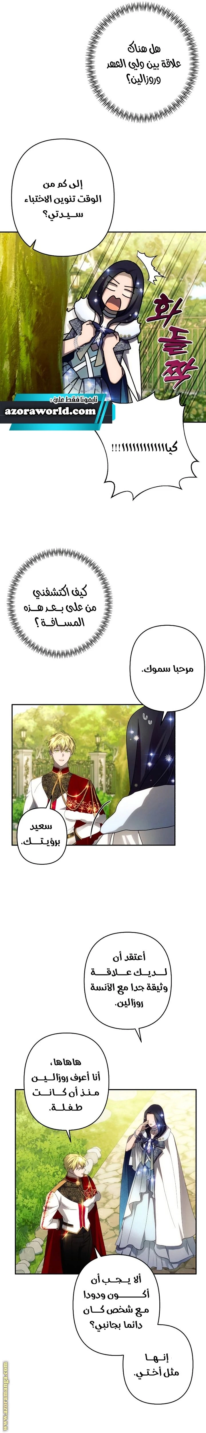 الصفحة 17