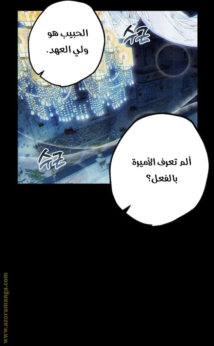 الصفحة 26