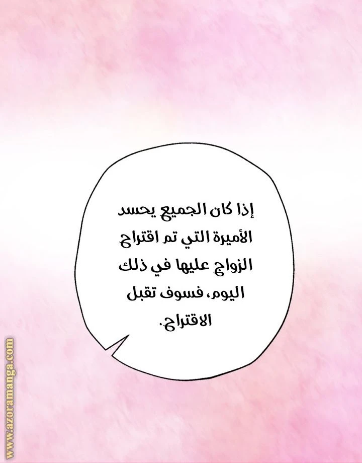 الصفحة 41