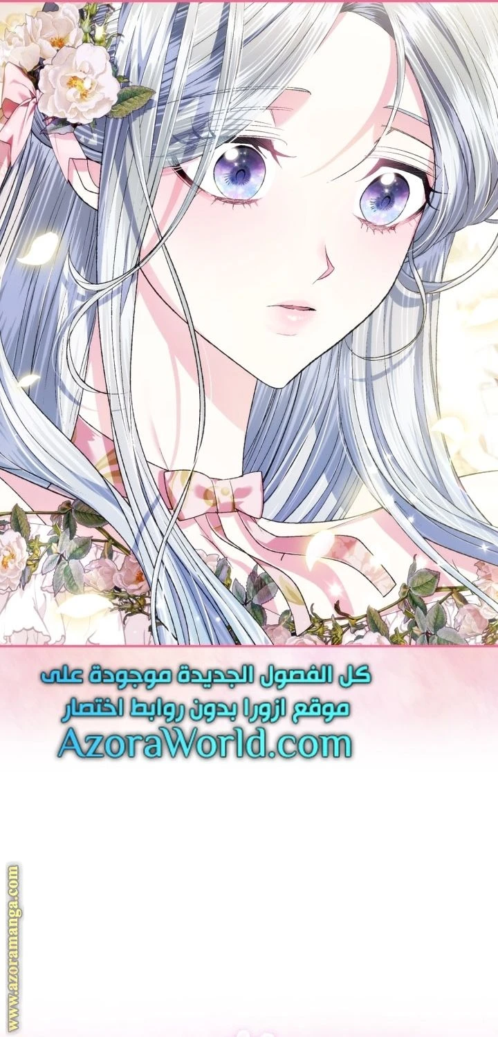 الصفحة 42