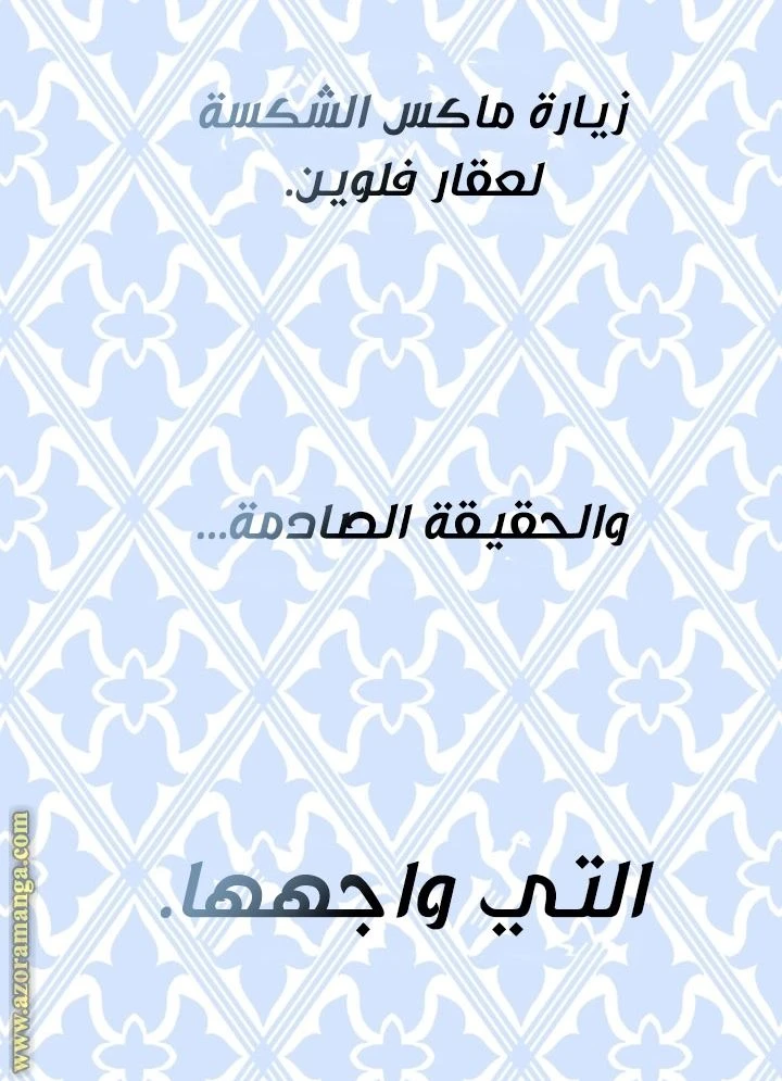 الصفحة 91