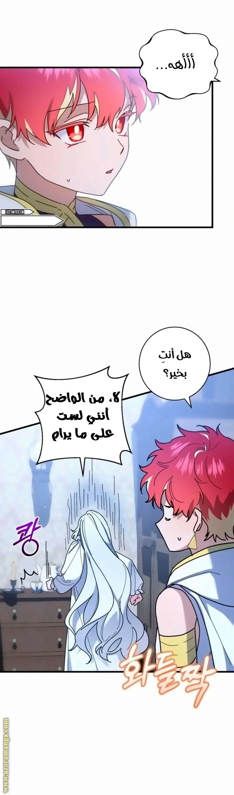 الصفحة 13