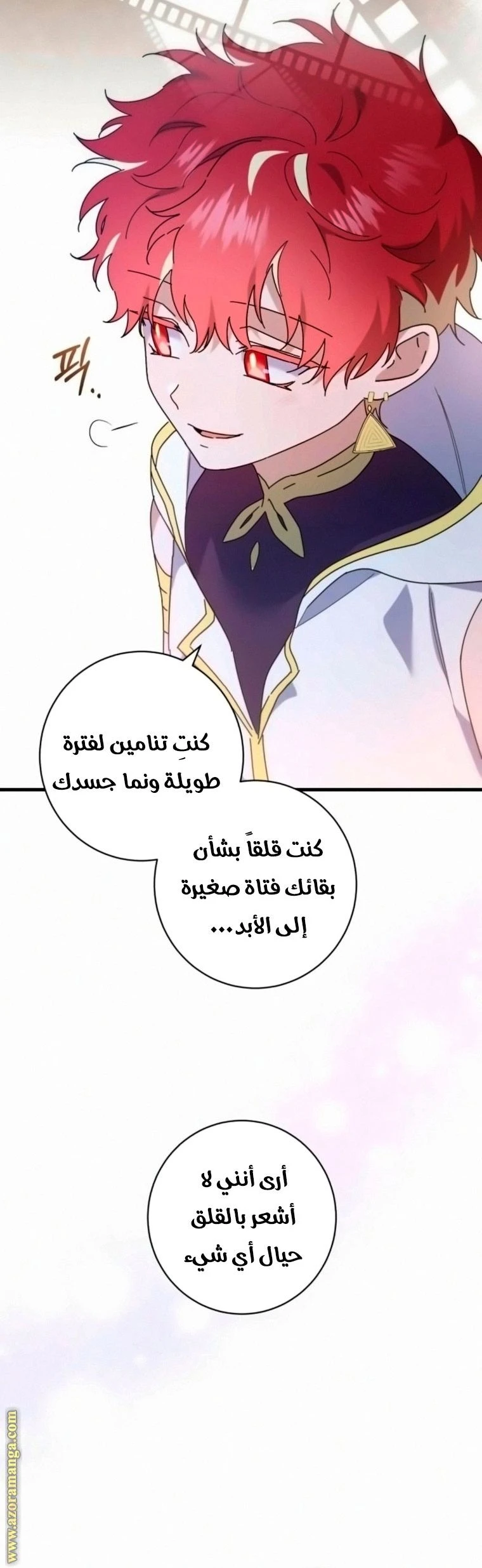 الصفحة 17