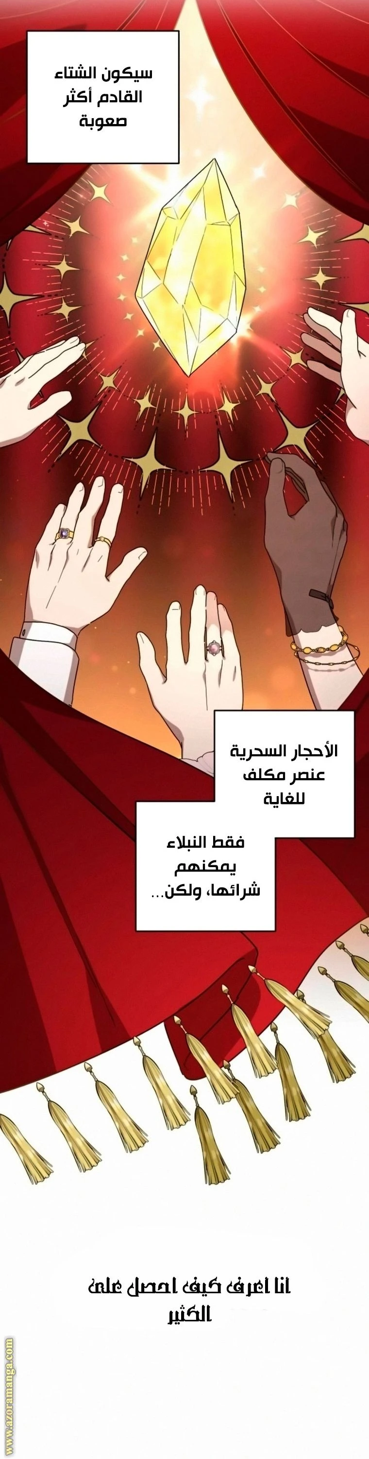 الصفحة 29