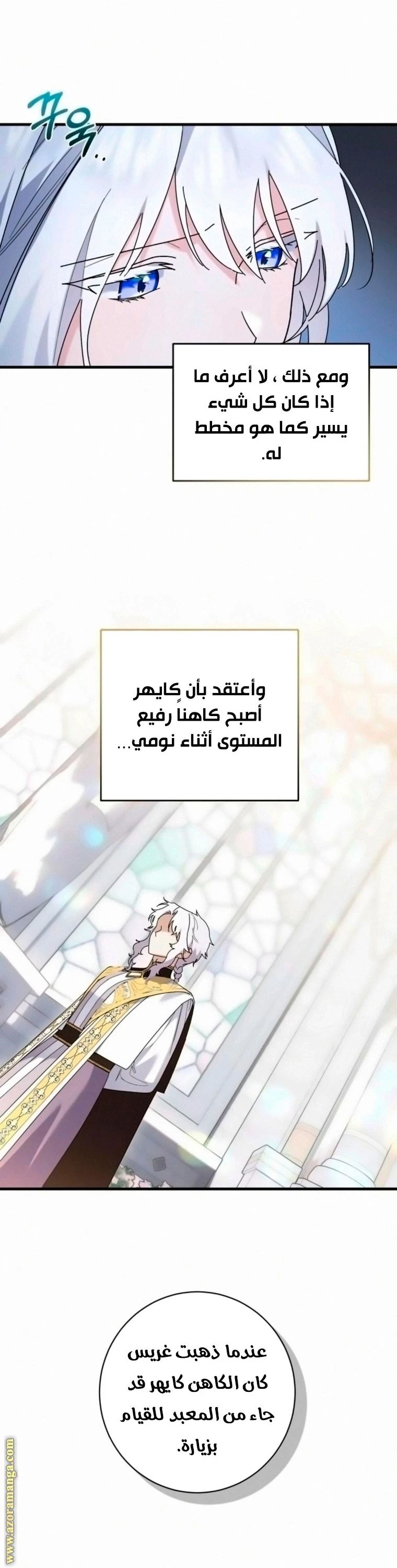الصفحة 30