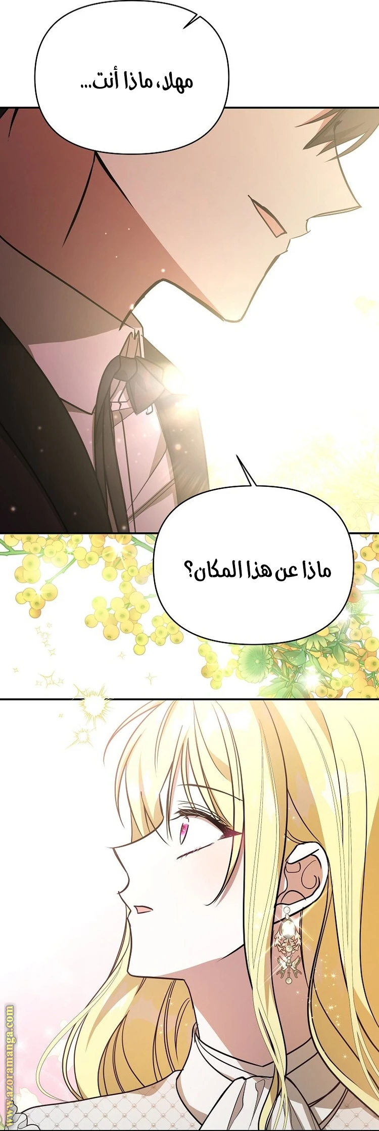 الصفحة 30