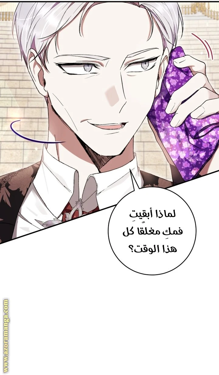 الصفحة 17