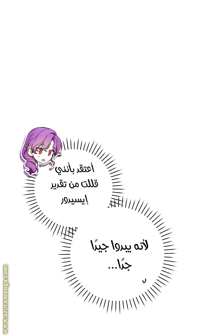 الصفحة 41