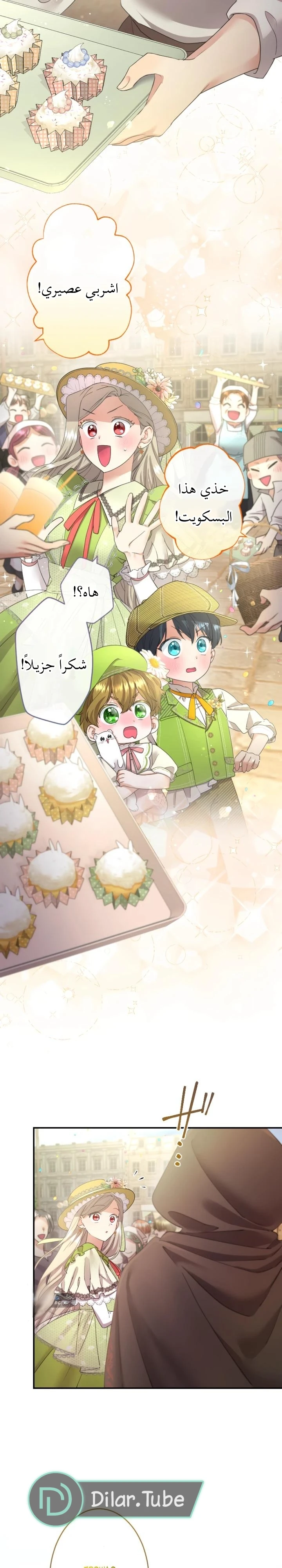 الصفحة 17