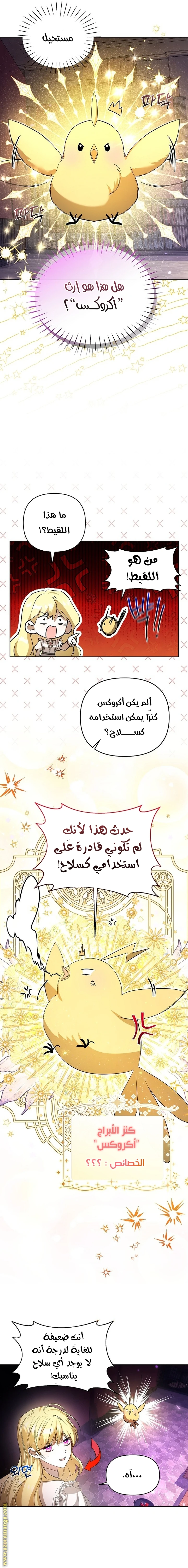 الصفحة 16