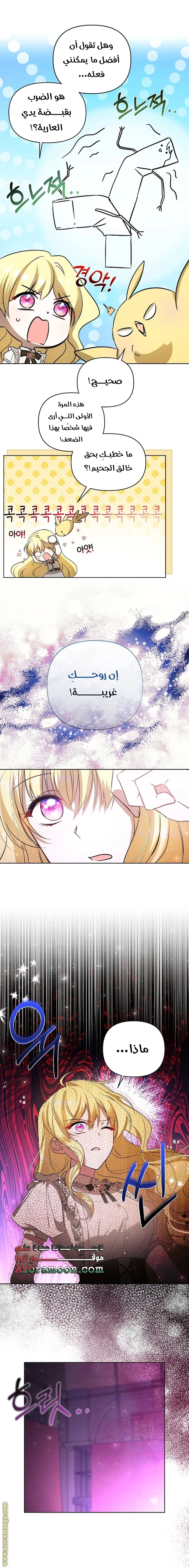 الصفحة 17