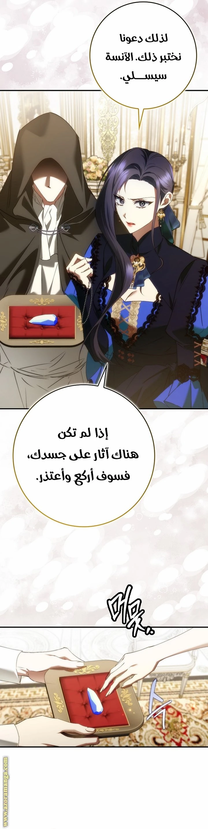 الصفحة 27