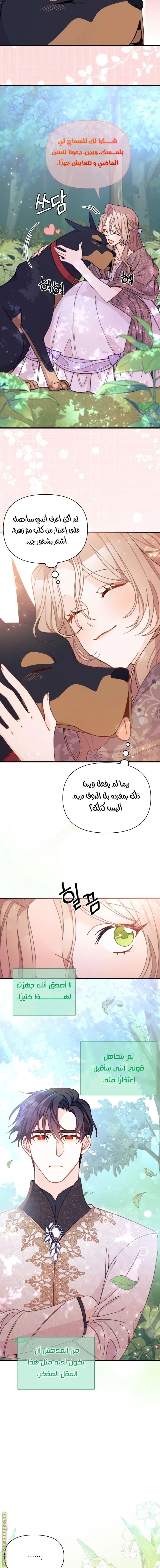 الصفحة 12