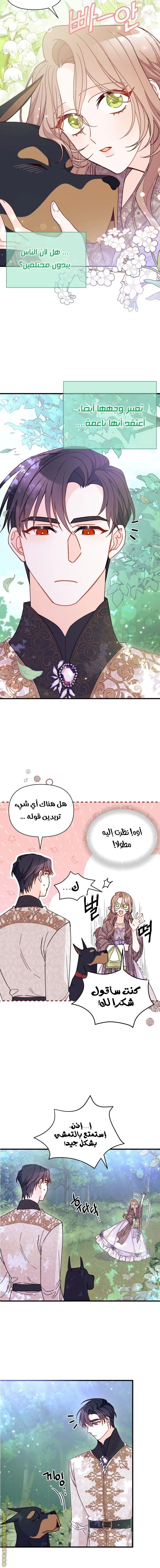 الصفحة 13