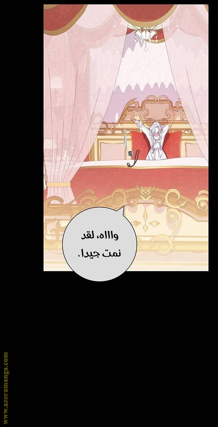 الصفحة 45
