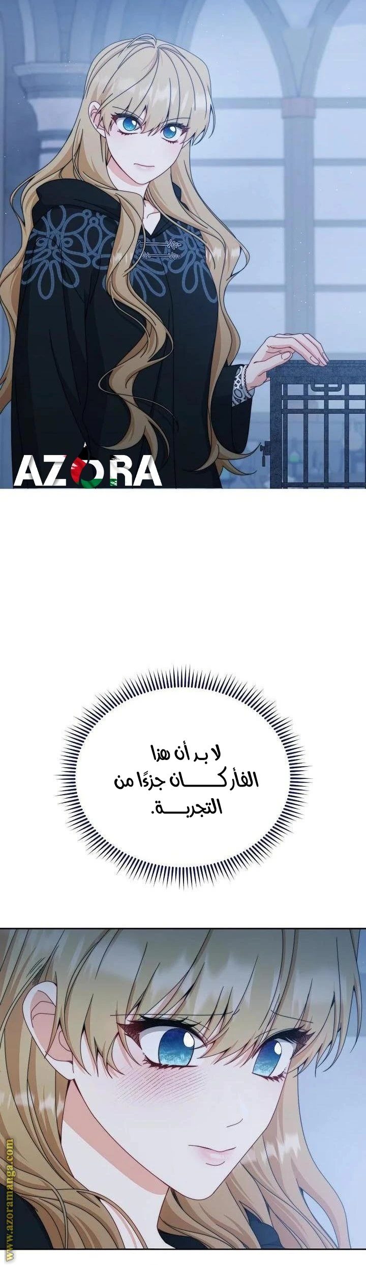 الصفحة 21