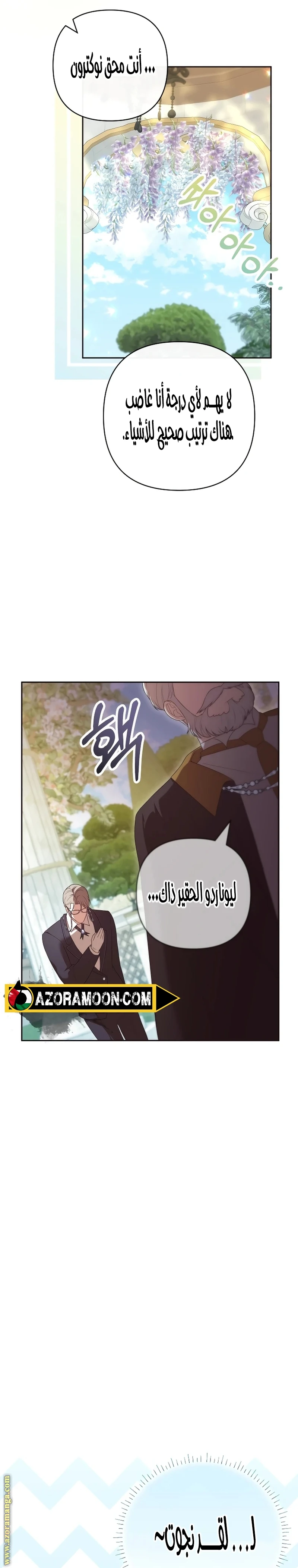 الصفحة 17