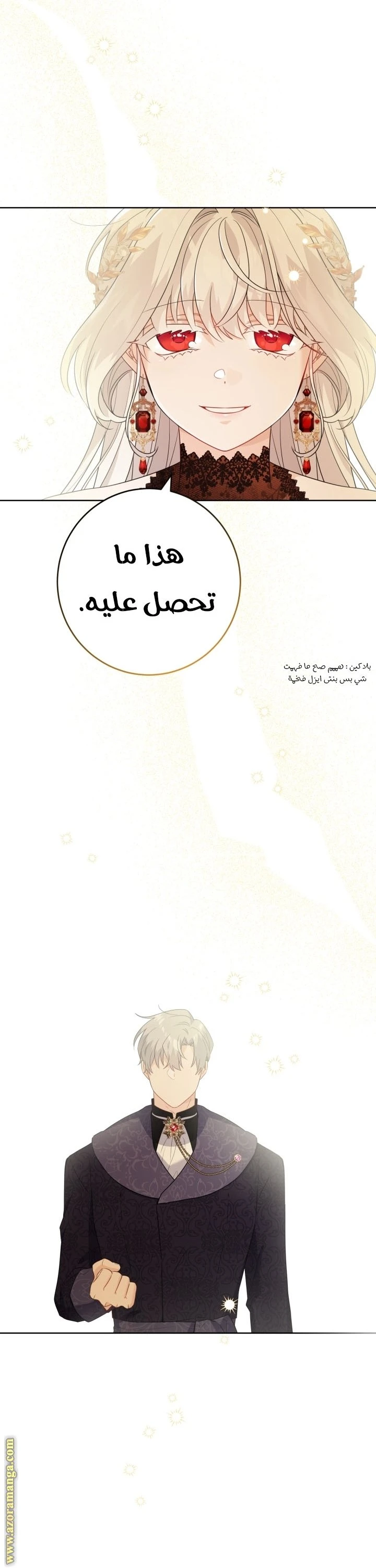 الصفحة 13