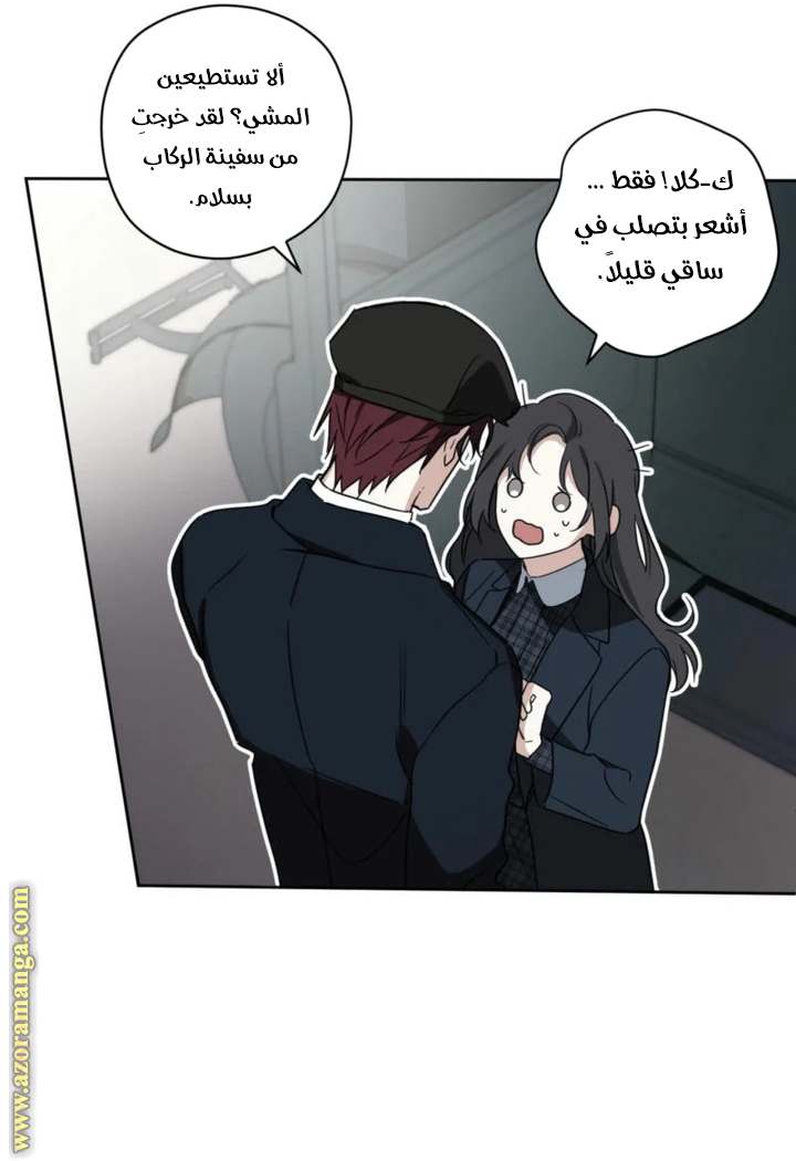 الصفحة 39
