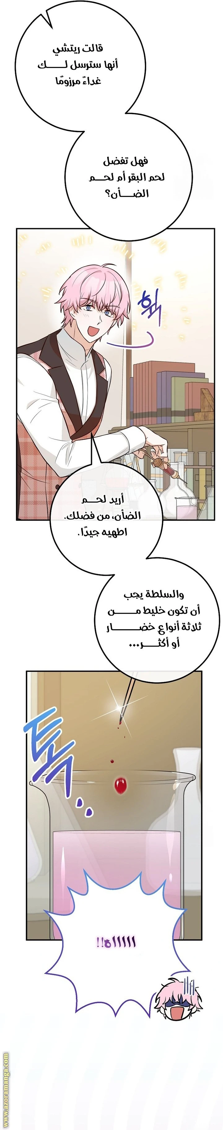 الصفحة 31
