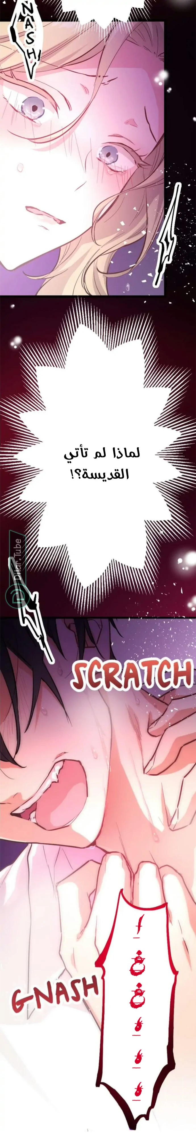 الصفحة 8