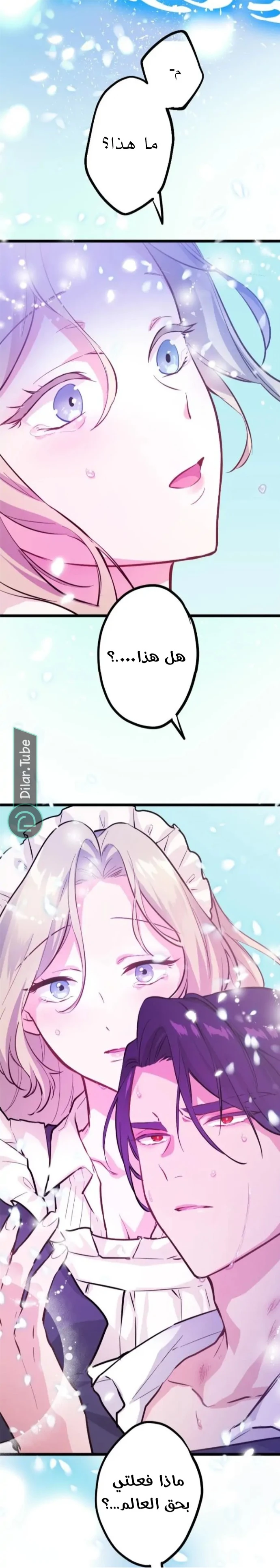 الصفحة 11