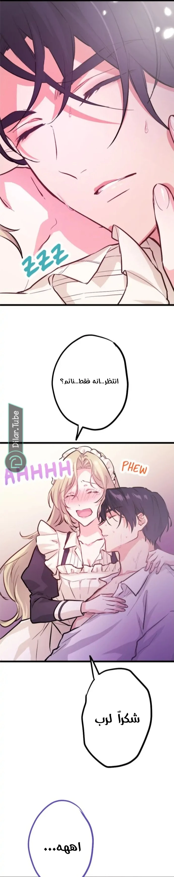 الصفحة 13