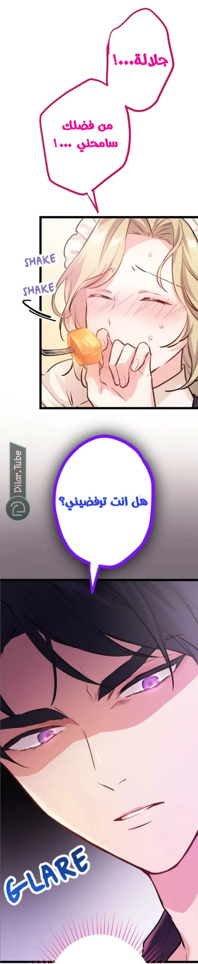 الصفحة 17