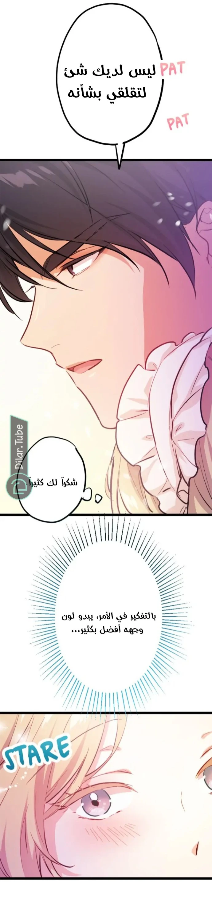 الصفحة 24