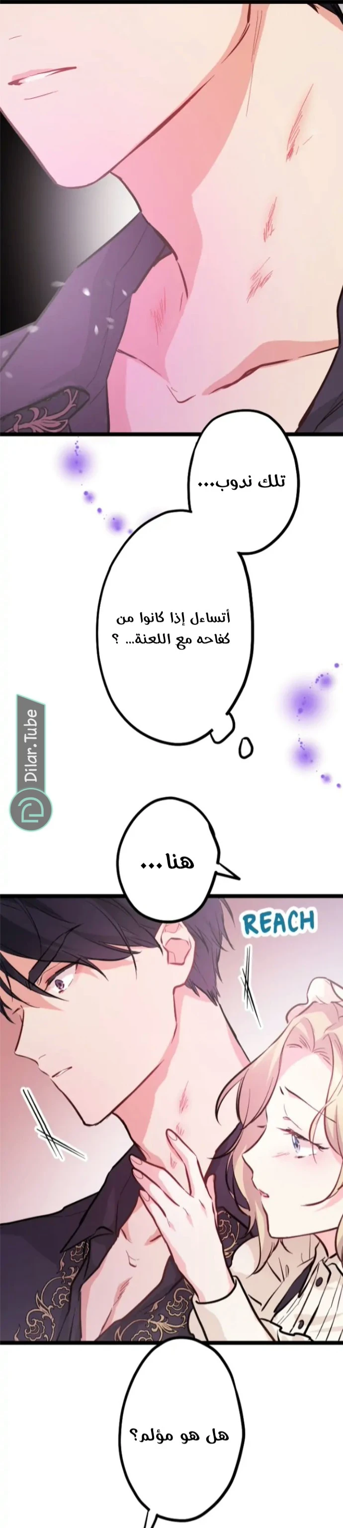 الصفحة 28