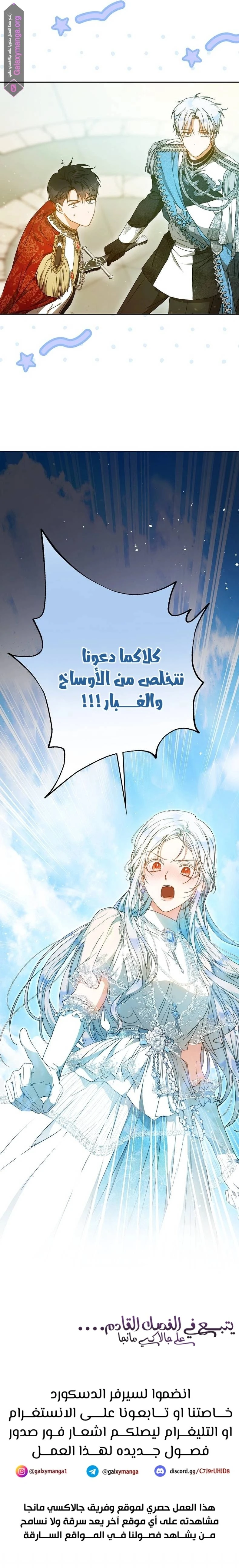 الصفحة 17